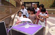 WYD100�ƶ��,���ƻ�